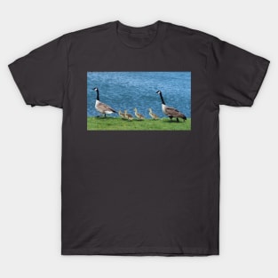 Canada Geese and Gosling Family T-Shirt